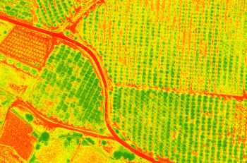 NDVI dielmo3d